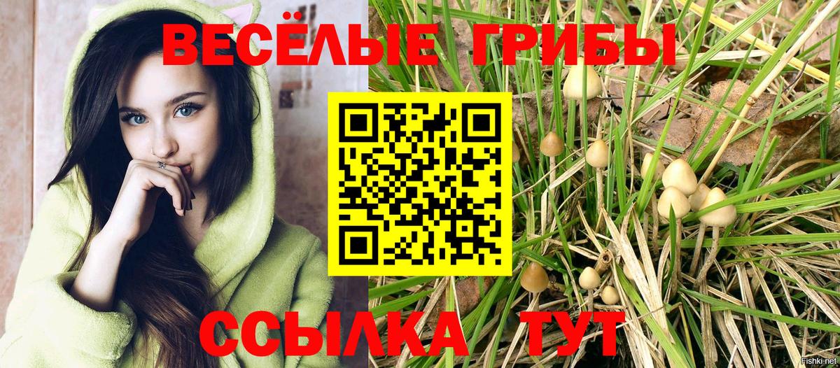 Псилоцибиновые грибы мицелий Саянск