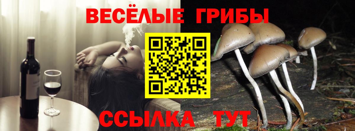 Саянск  Галлюциногенные грибы GOLDEN TEACHER  Вход с VPN 